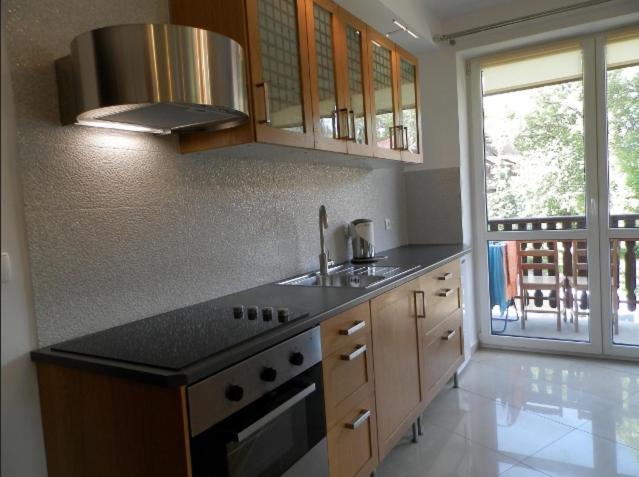 Apartamenty Skaldowie Закопане Экстерьер фото